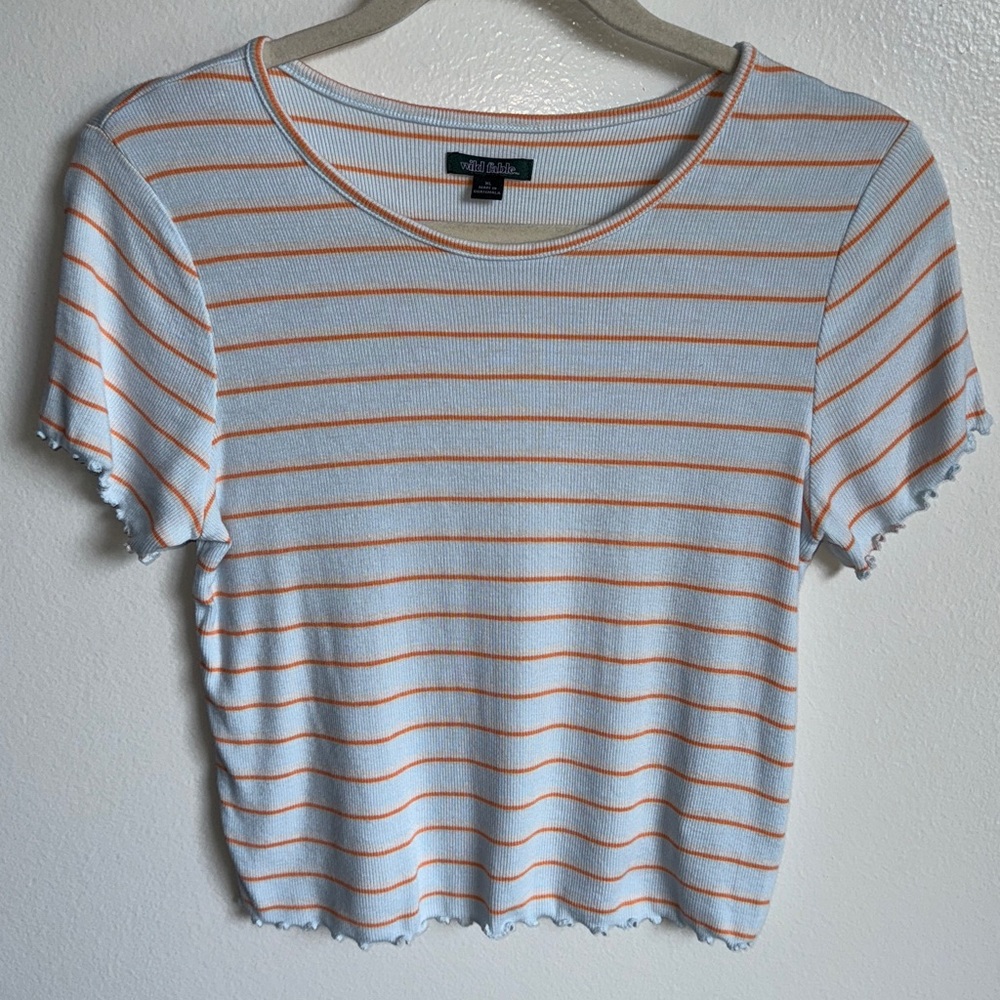 Wild Fable Light Blue and Orange Striped Crop Top T-Shirt Short Sleeve X-Large